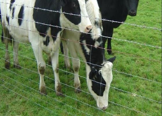 Il bestiame galvanizzato impedisce il recinto unito del campo dell'azienda agricola del cavo della pagina della cerniera